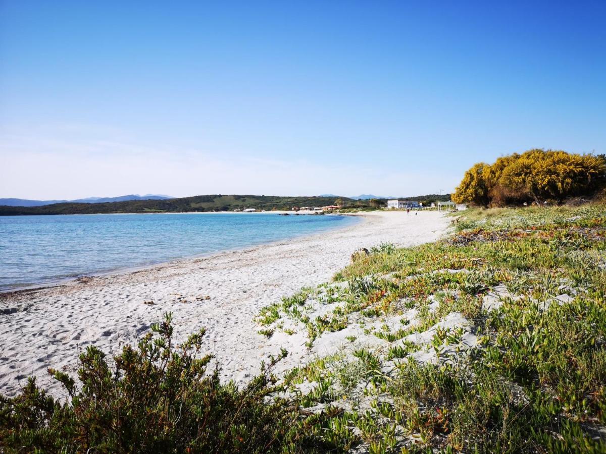 אולביה Insardinia House Trilocale A 200Mt Dalla Spiaggia מראה חיצוני תמונה